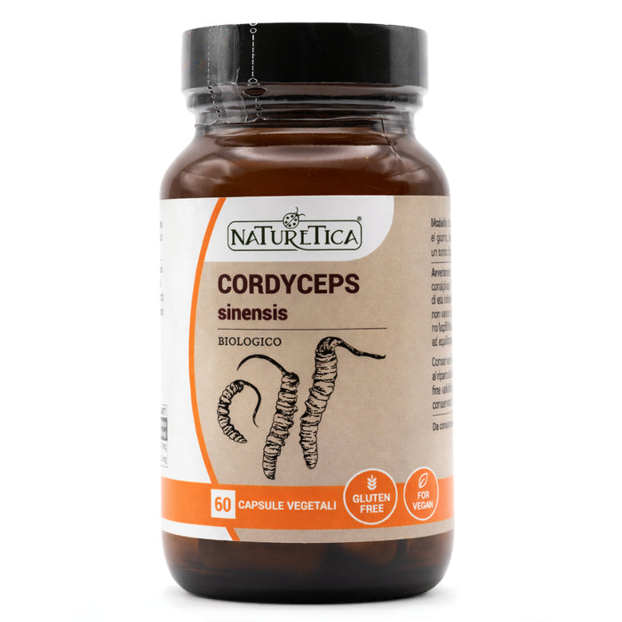 Cordyceps sinensis – ideal para Desportistas