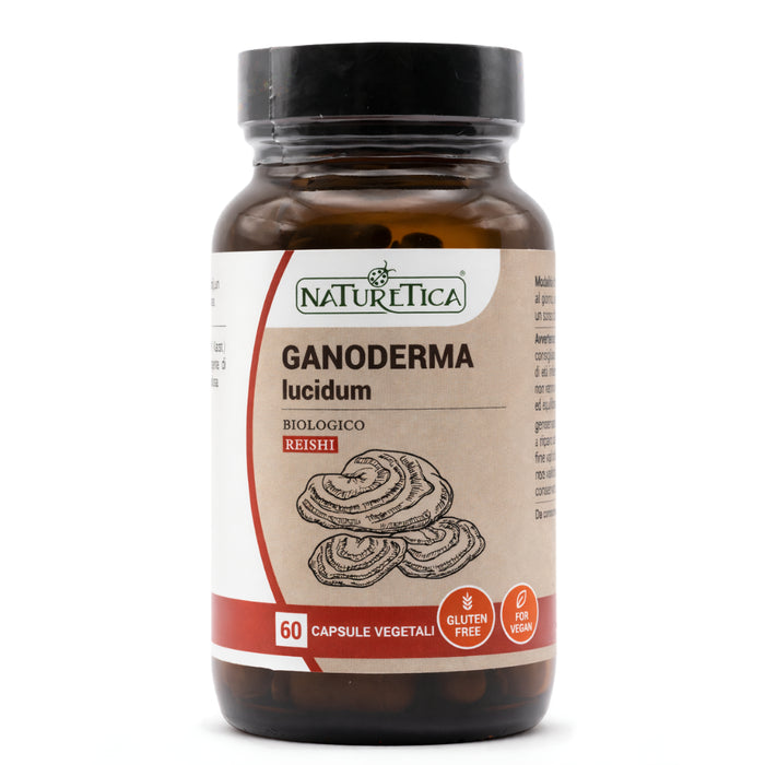 Reishi – para as Defesas naturais