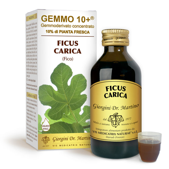 Fico Gemmoderivato – per Digestione e Benessere mentale