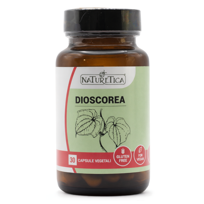 Dioscorea – na menopauzę i zespół napięcia przedmiesiączkowego