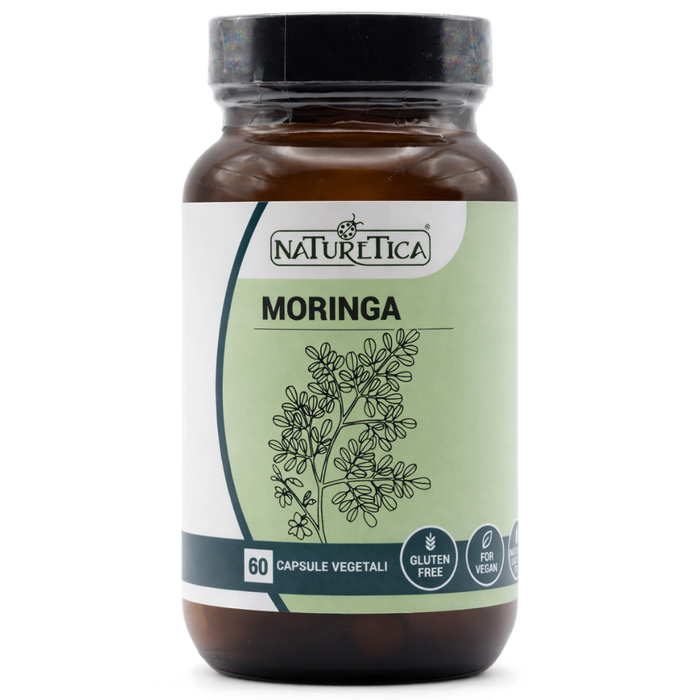 Moringa – saciante y estimula el metabolismo