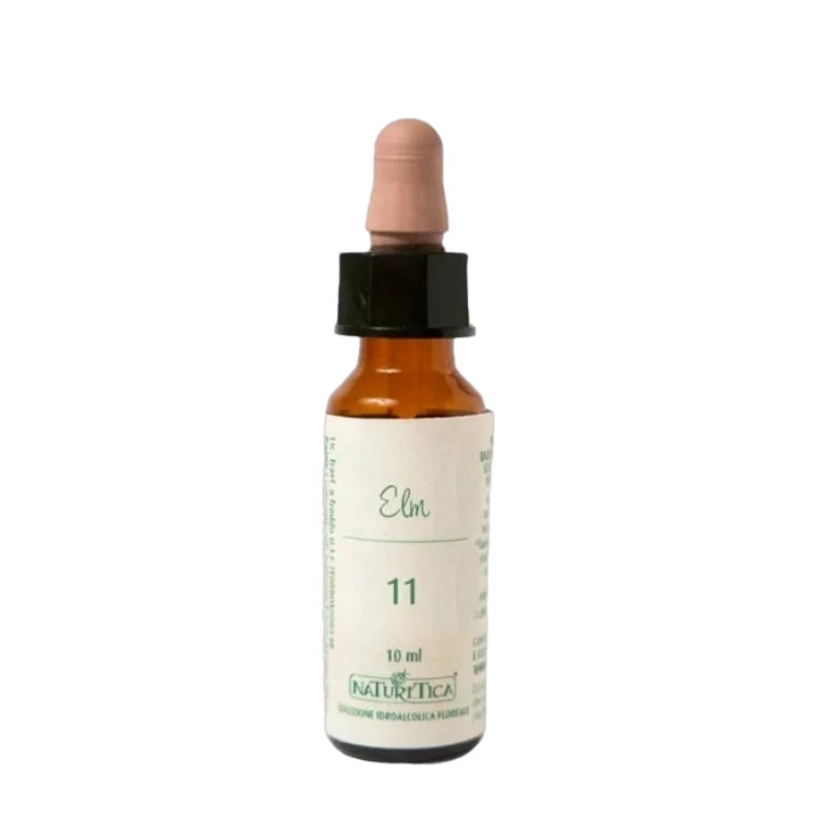 N.11 Elm – flores de Bach