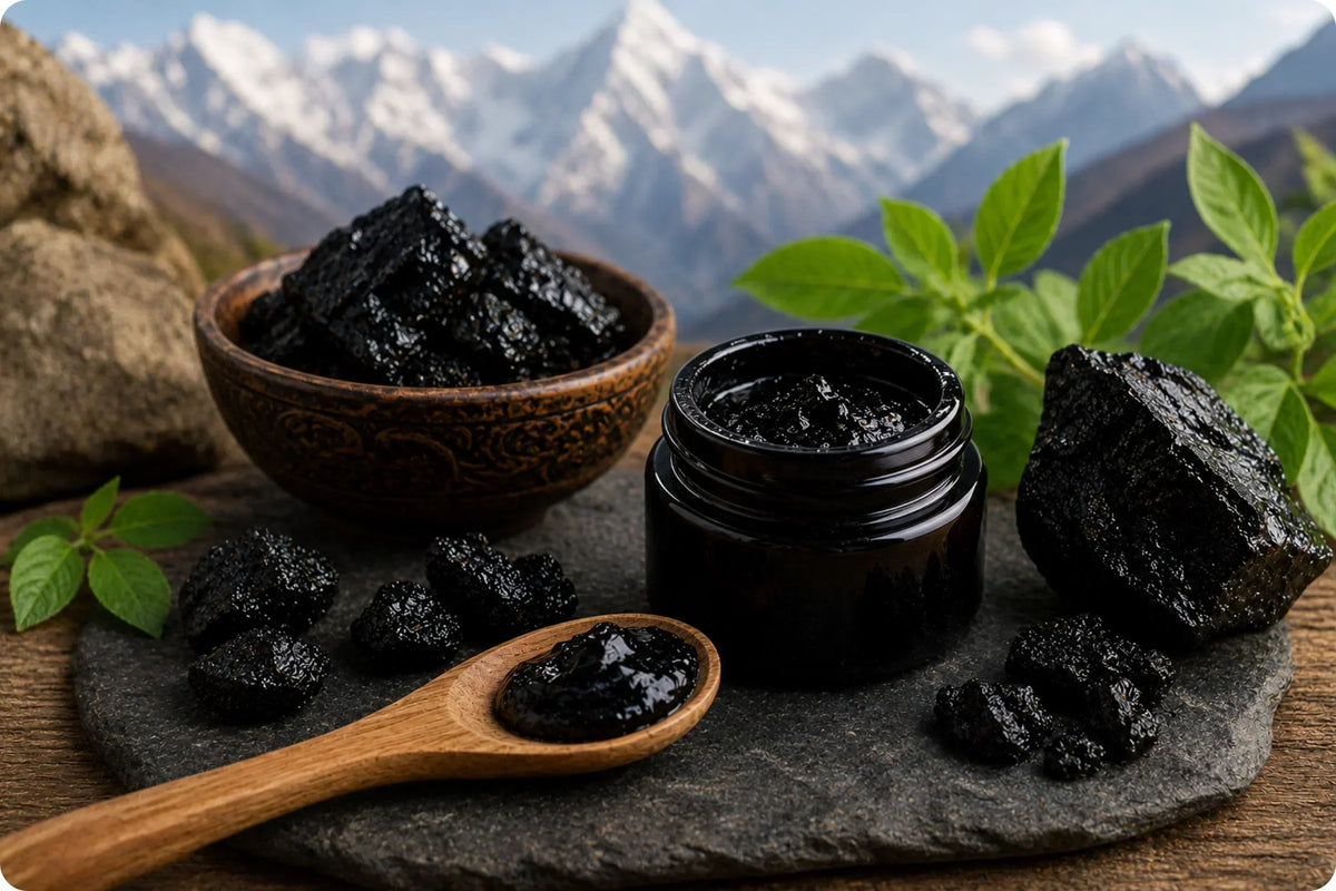 Shilajit: Il segreto della natura che arriva dalle montagne