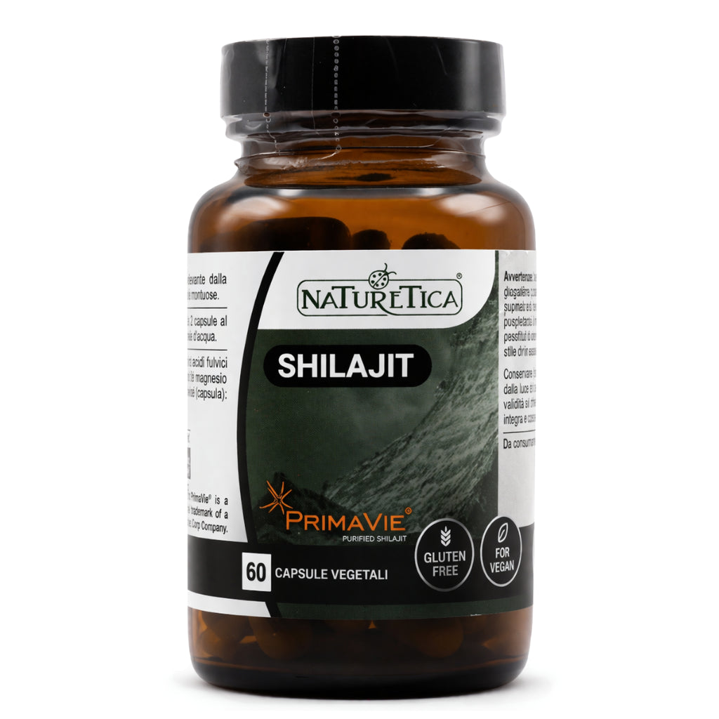 Shilajit – adaptogene Wirkung