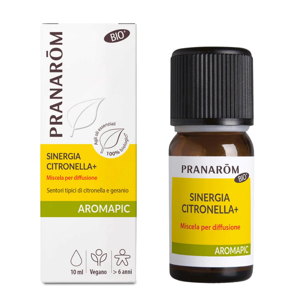 Citronella Synergy – Organic