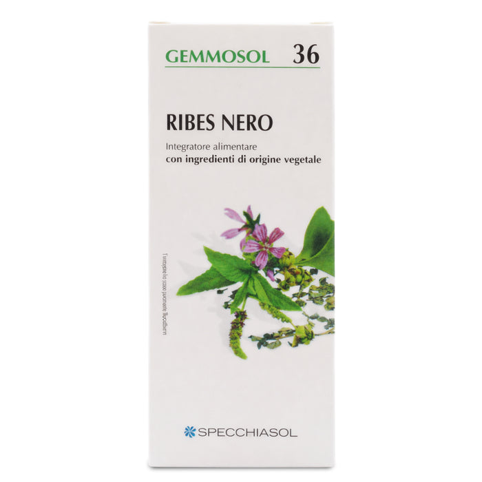 Ribes Nero – Gemmoderivato