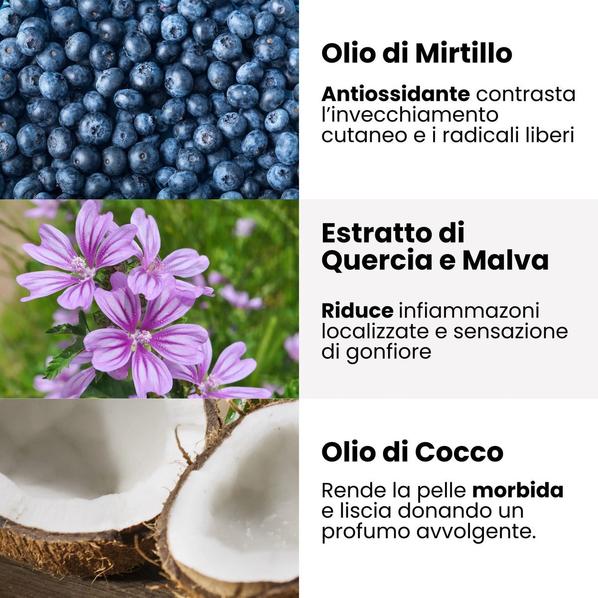Docciaschiuma Rinfrescante - Quercia, Malva e Mirtillo