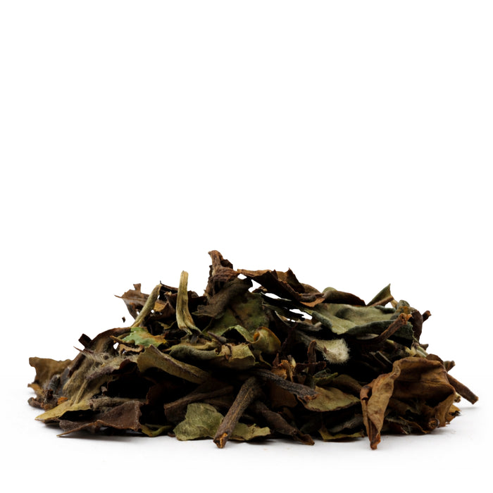 Witte Bio Thee Pai Mu Tan – Natuurlijke Antioxidant