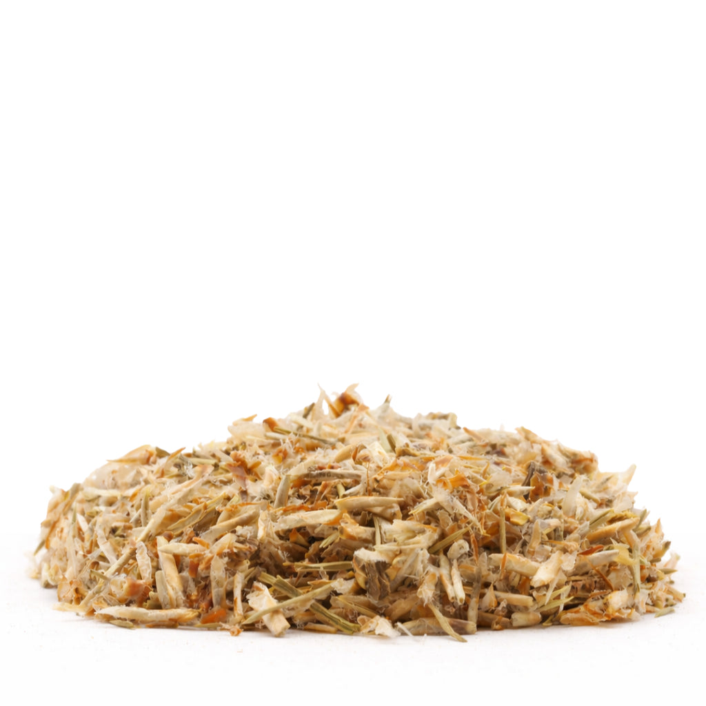 Scots Pine Buds – Breathing and Balsamic Action
