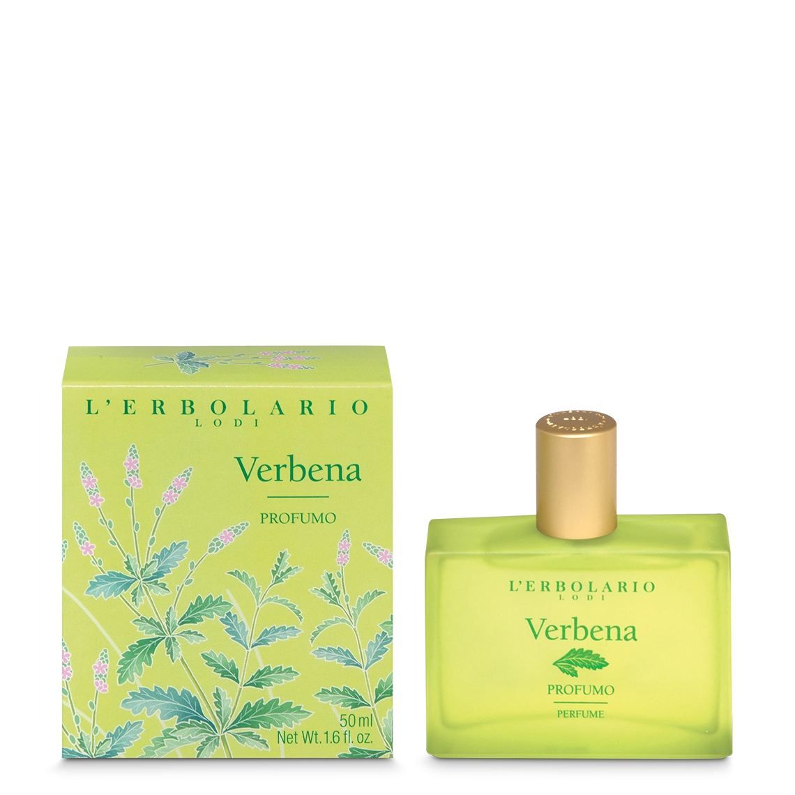 Perfumy Werbena