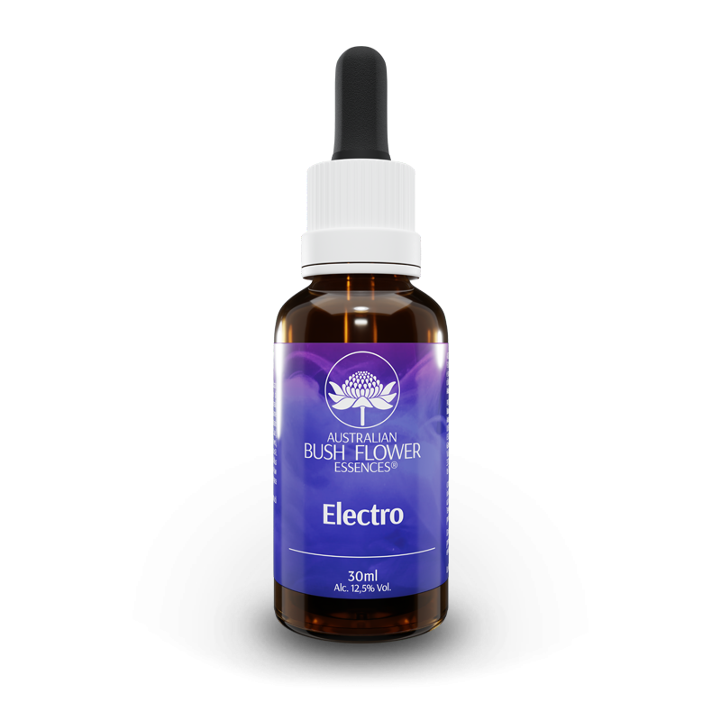 Electro – Essence