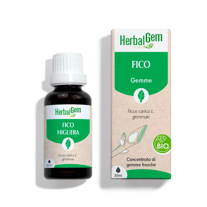 Fico Gemmoderivato – Bio
