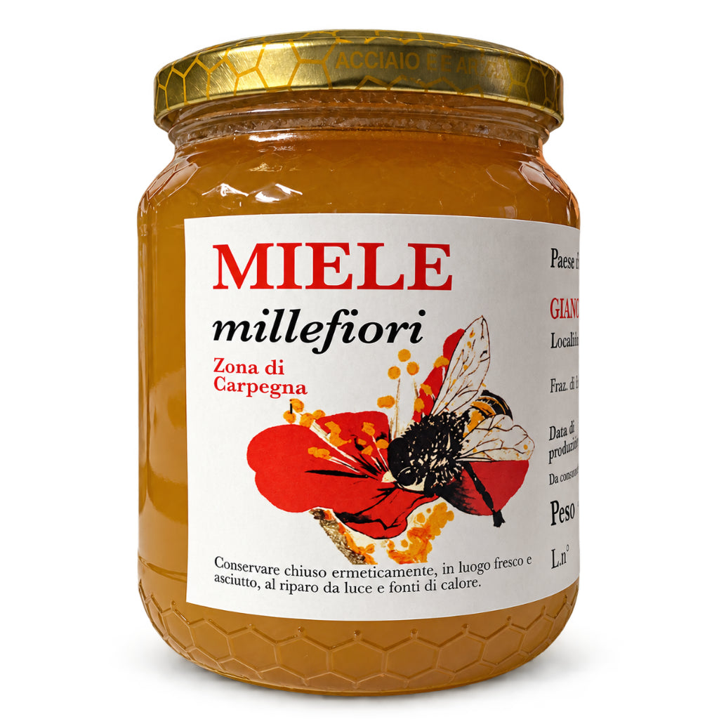 Miel Millefiori Italien – Zone de Carpegna