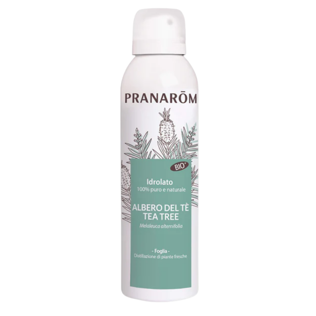 Hidrolato Tea Tree - Bio