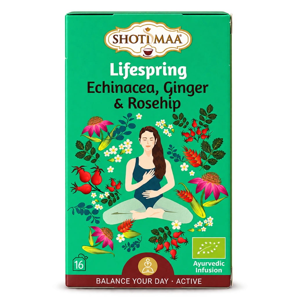 Lifespring – Tisane Bio Échinacée, Gingembre &amp; Cynorhodon